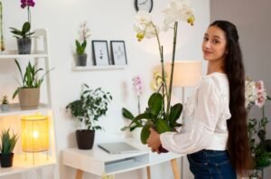 Budget-Friendly Home Makeover Ideas for Beginners