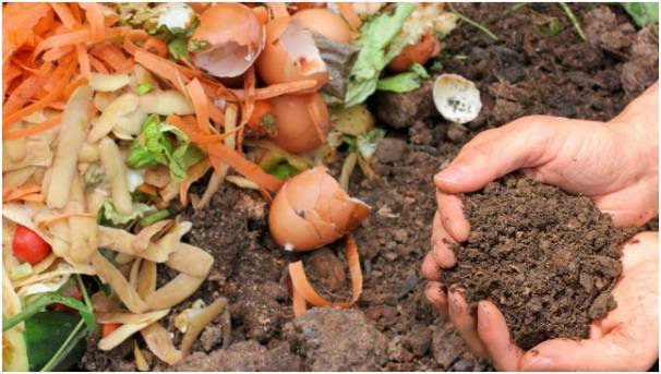 Start With a Waste Audit Before You Shop
